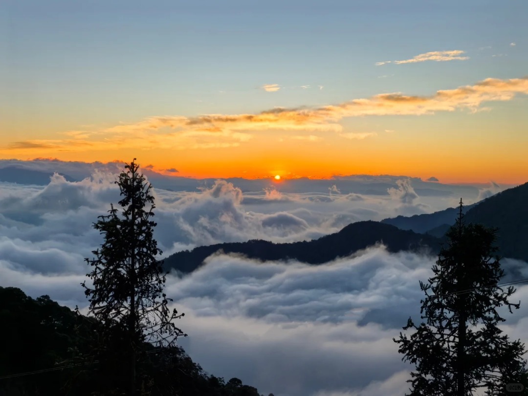 1767925345520_76GtKifX