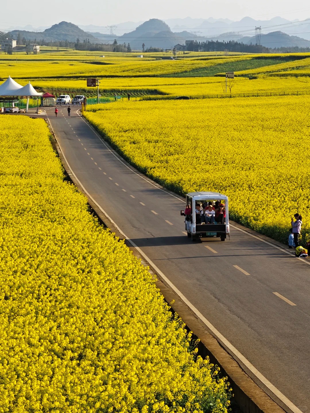 1767925345522_74S4EQ6k