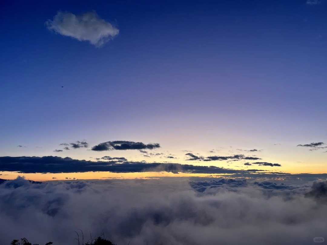 1767925345523_70wPw2jT