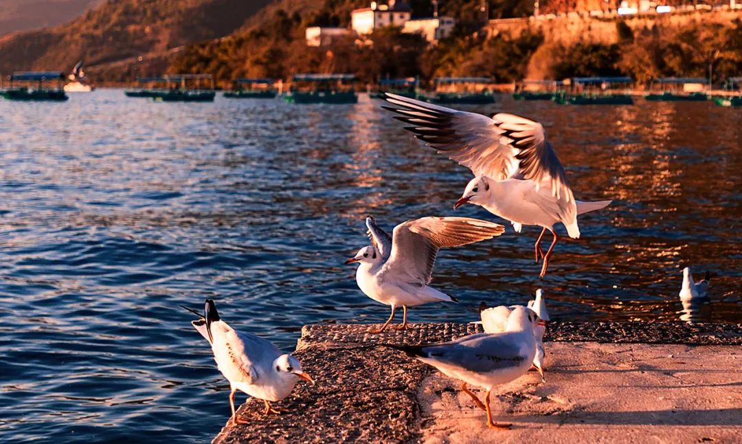 1767925345529_556tk53d