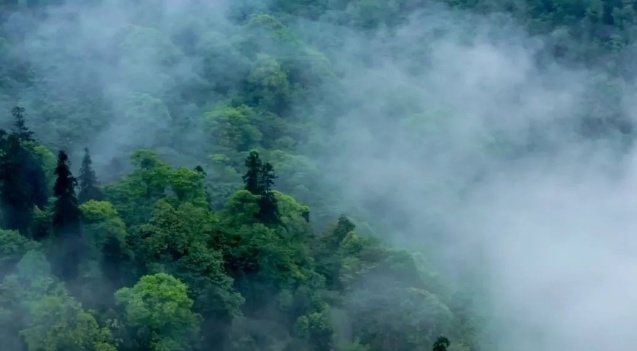 1767925345537_37jR8QF7