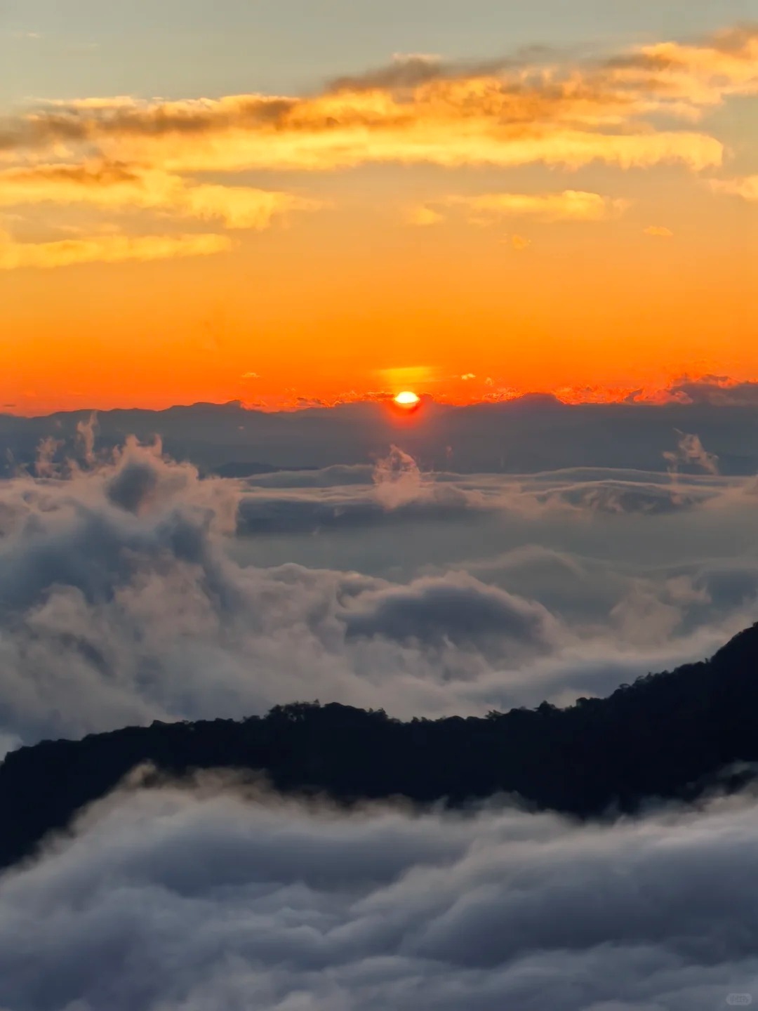 1767925345560_26mGxYdd