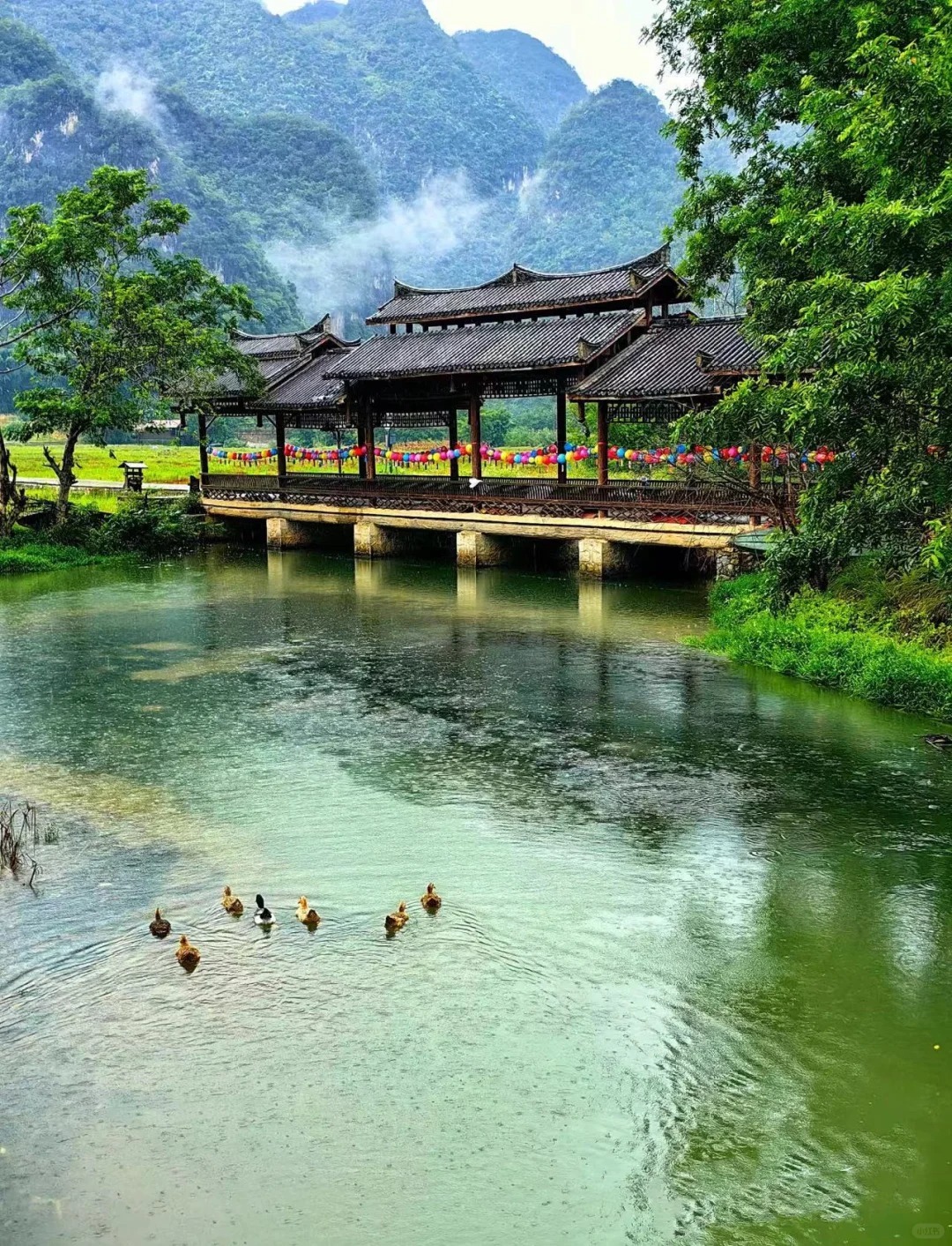 1767925345561_166w3ksn