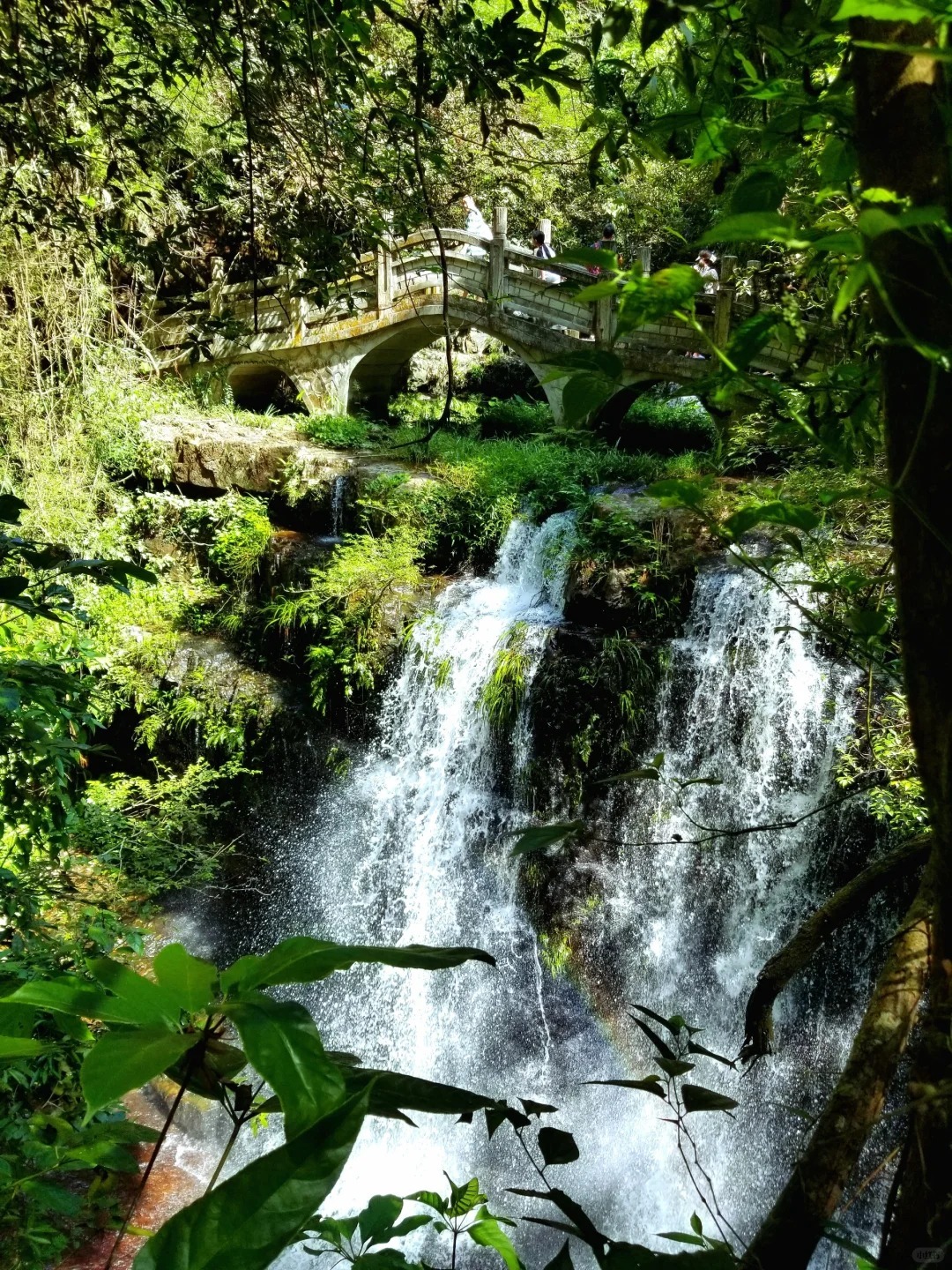 1767925345562_9y6ZteN