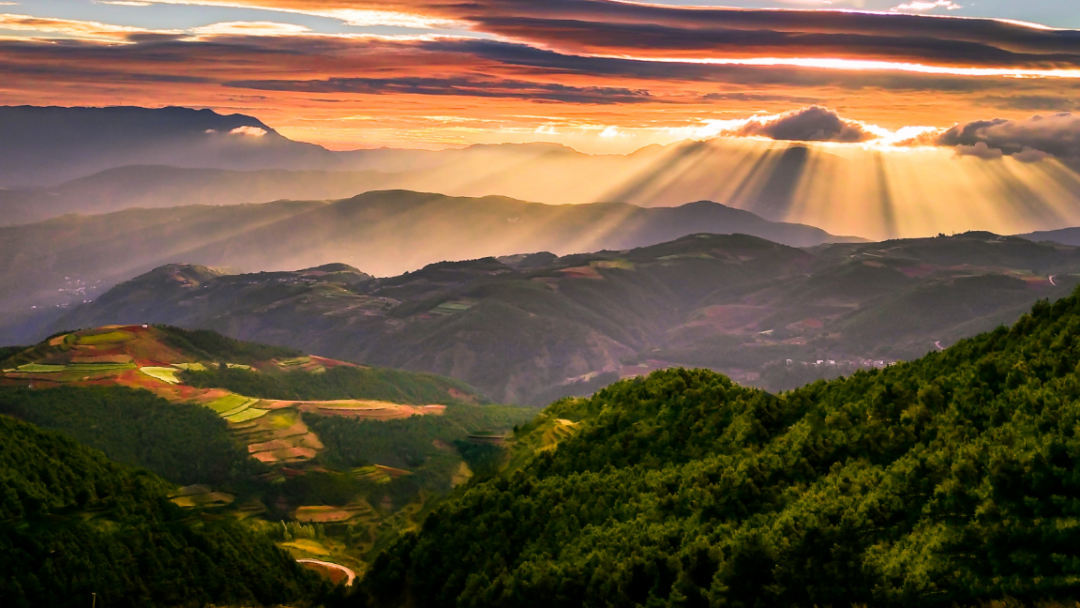 1768288554675_58BXA52N