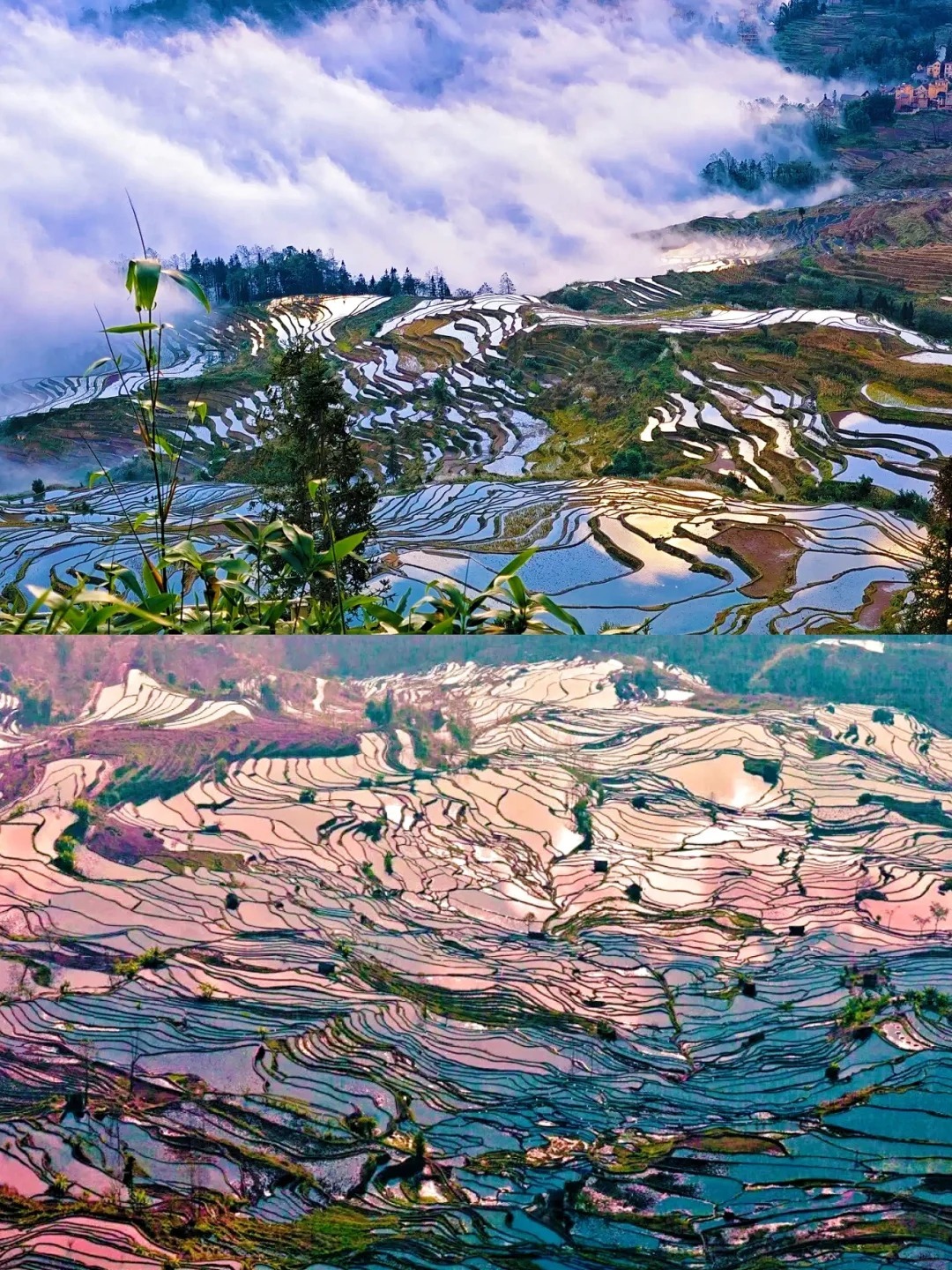 1768288554676_56R4ycDm