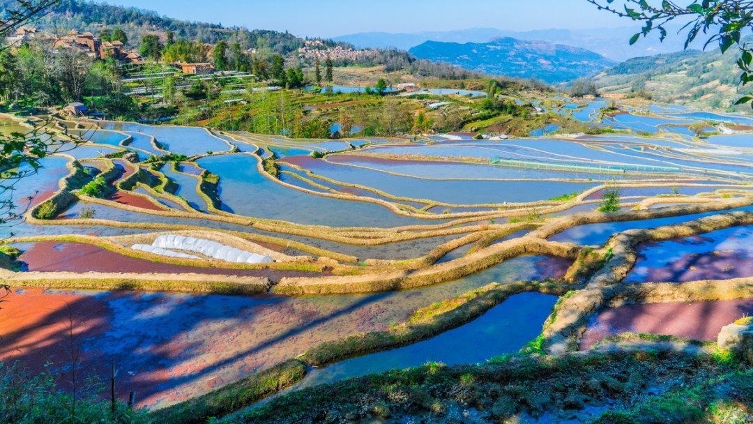 1768288554677_513HSpWi