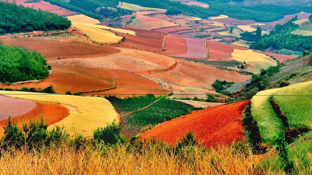 1768288554679_45zjMpyk