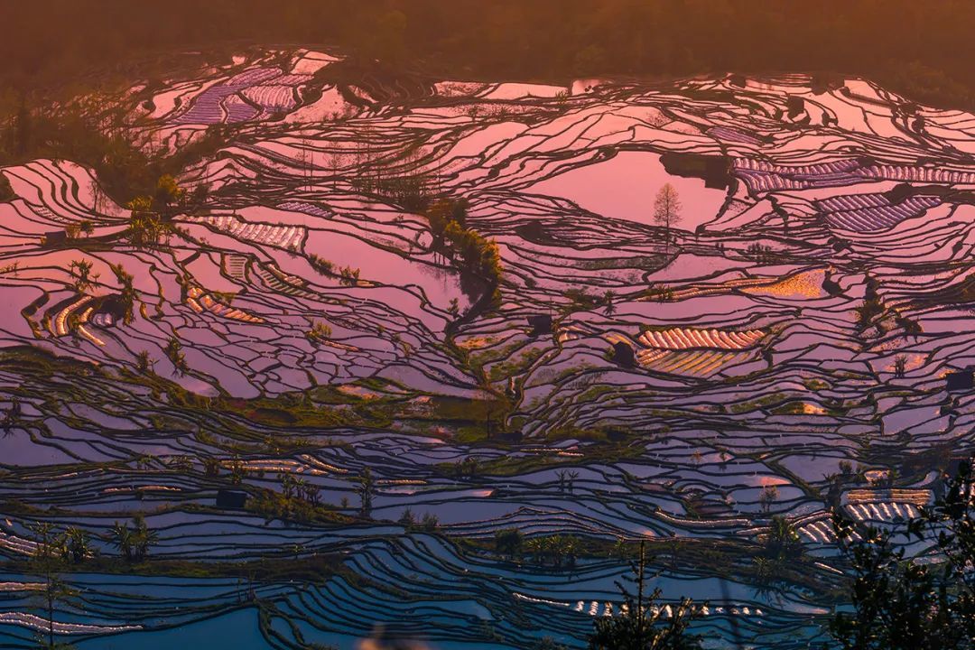 1768288554679_464Q5wsi