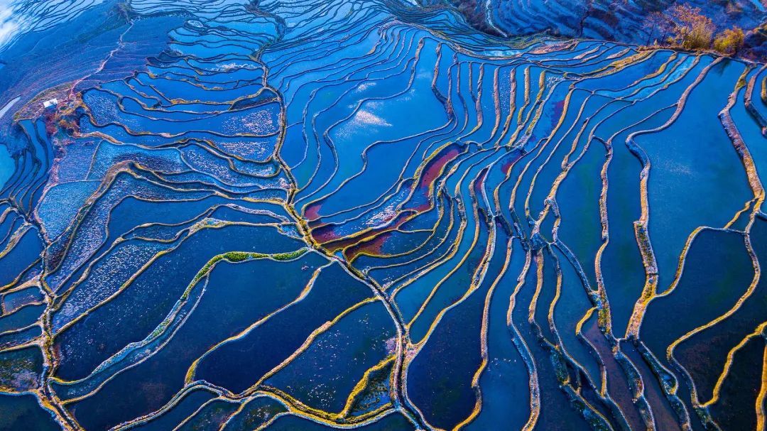 1768288554680_418xn2K4