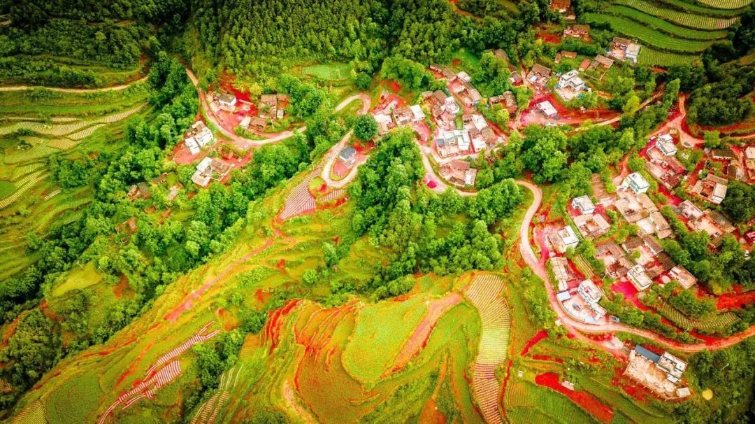 1768288554687_19JxrFAt