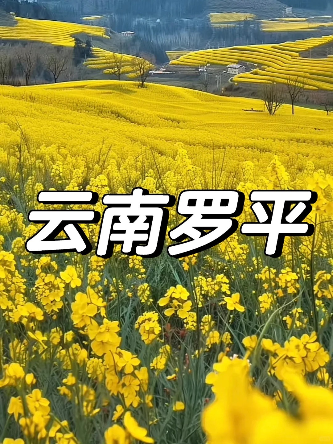 1768288554690_1TArWhx