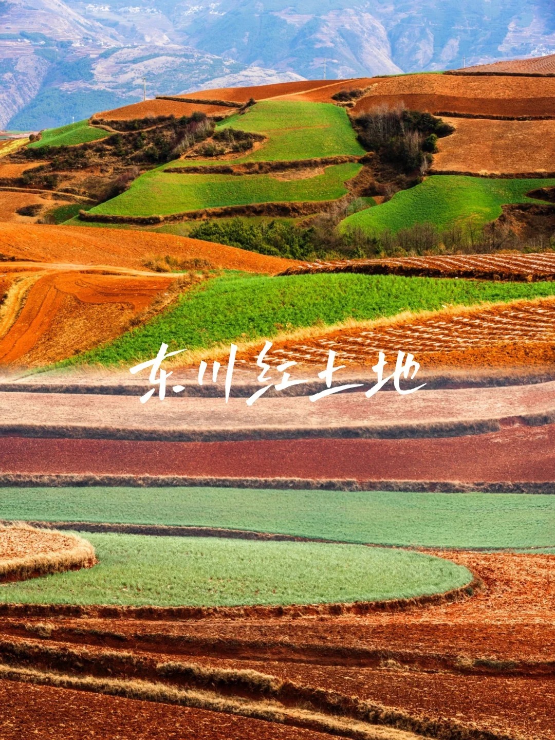 1768288554690_5W8QGzF