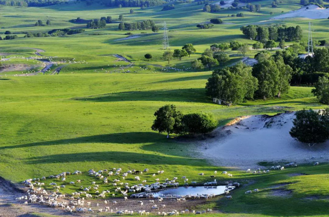 1768445694235_51yrRZx3