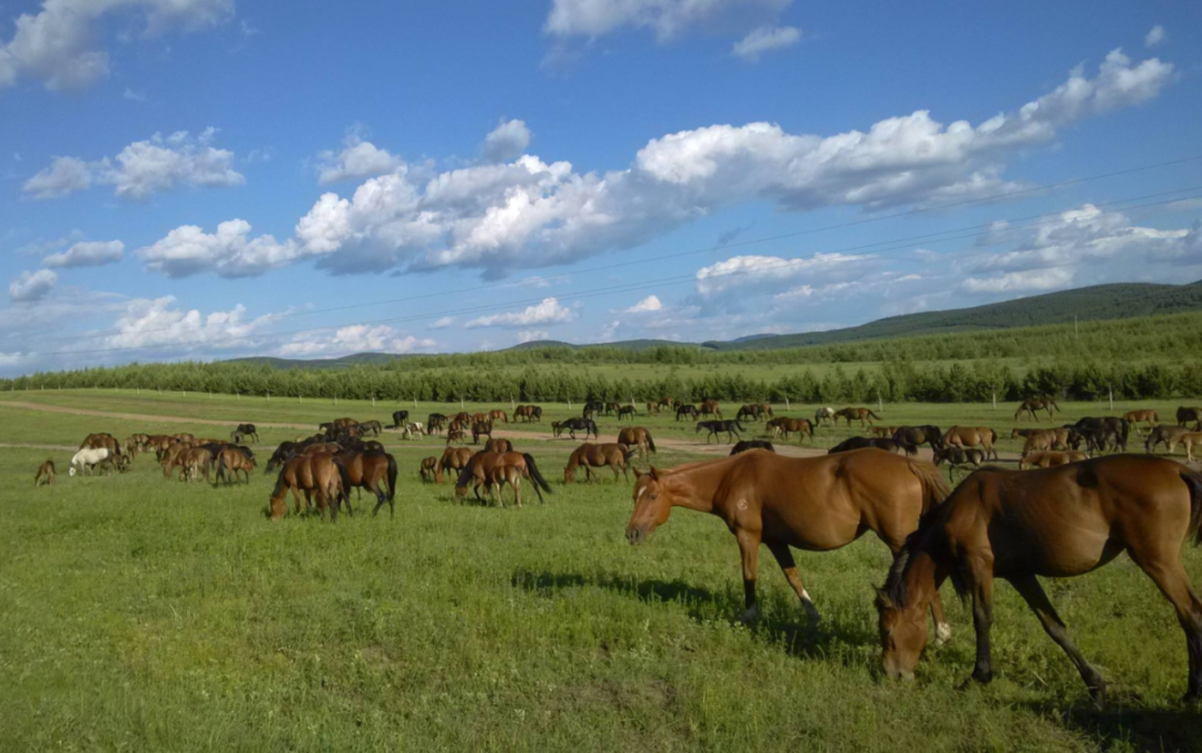 1768445694235_52iwBQzQ