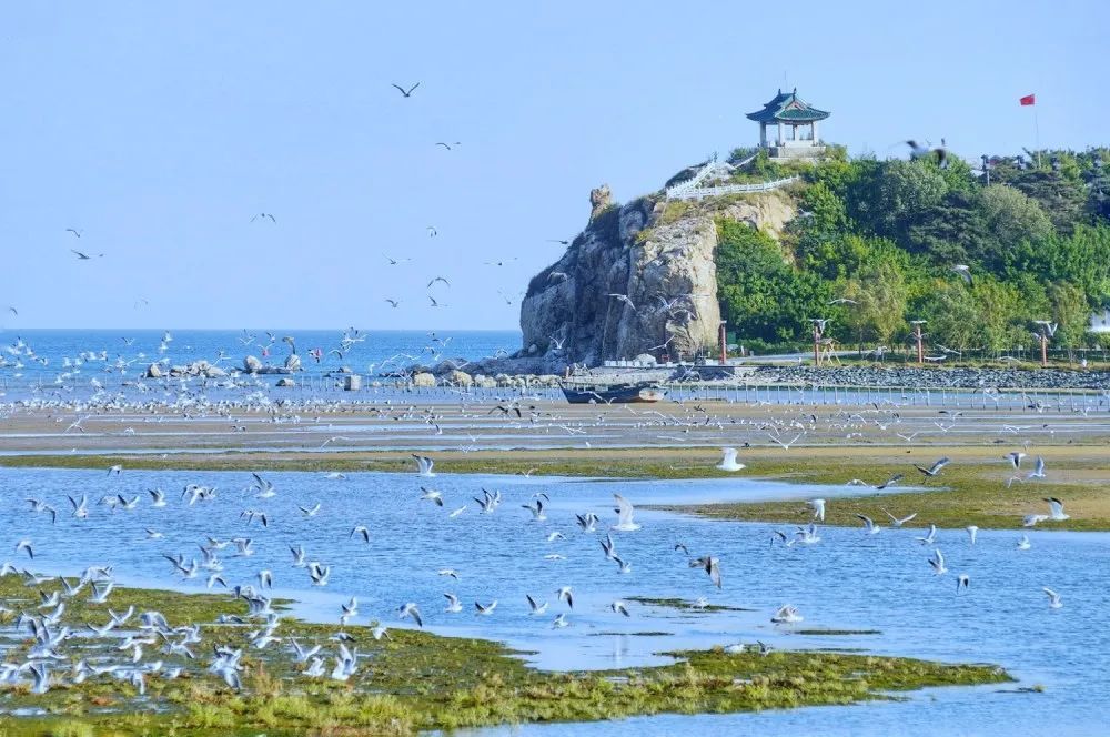 1768445694236_47YtG7h3