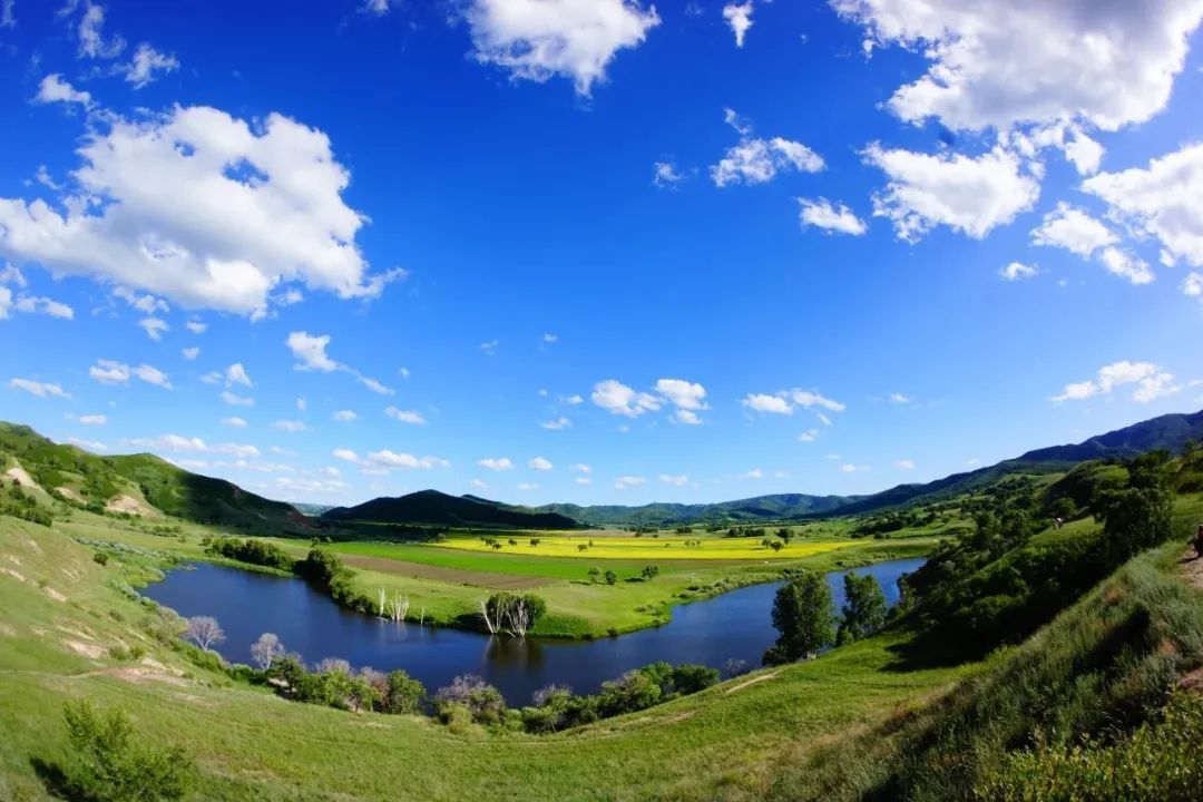 1768445694237_45syQPRt