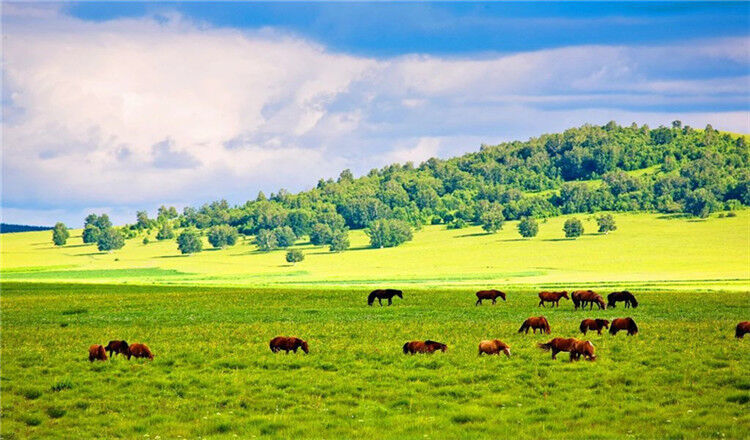 1768445694239_34sjQNNT