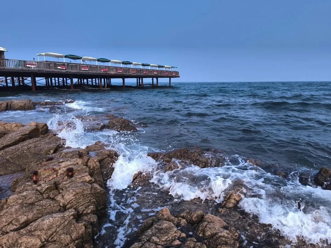 1768445694239_38BrKFRQ