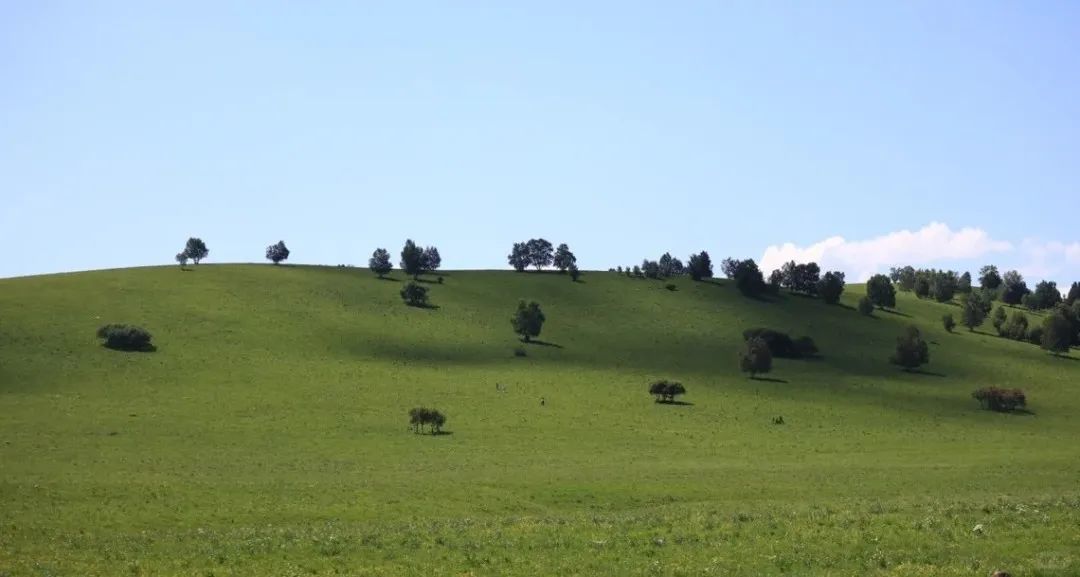 1768445694240_29cjd4D5