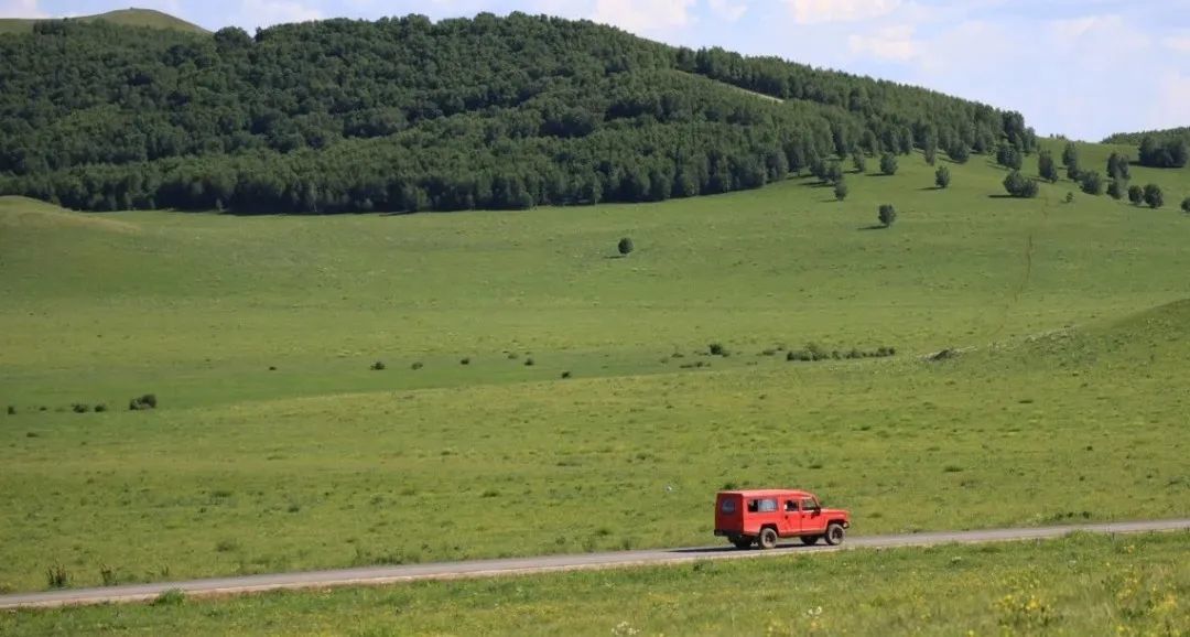 1768445694245_19PitfKS