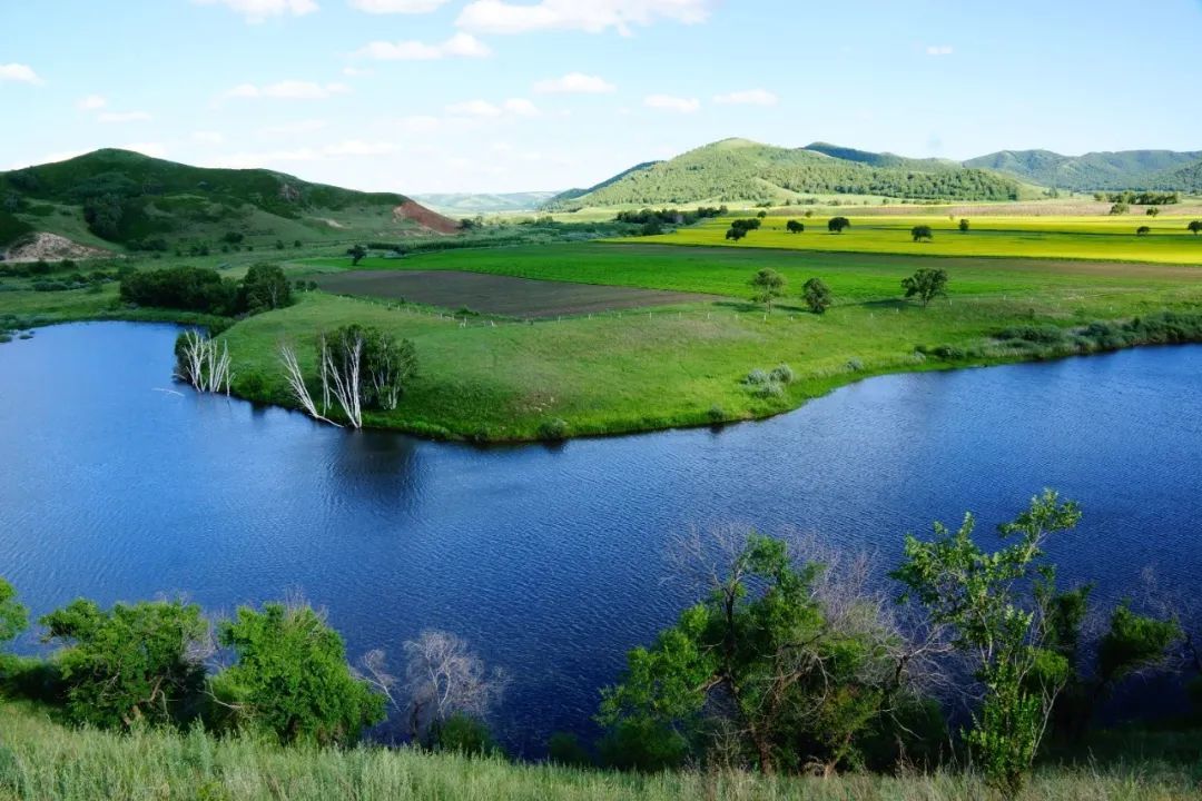 1768445694245_22Zp3zXd