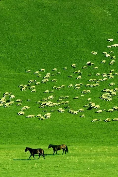 1768445694246_15DpTdrh