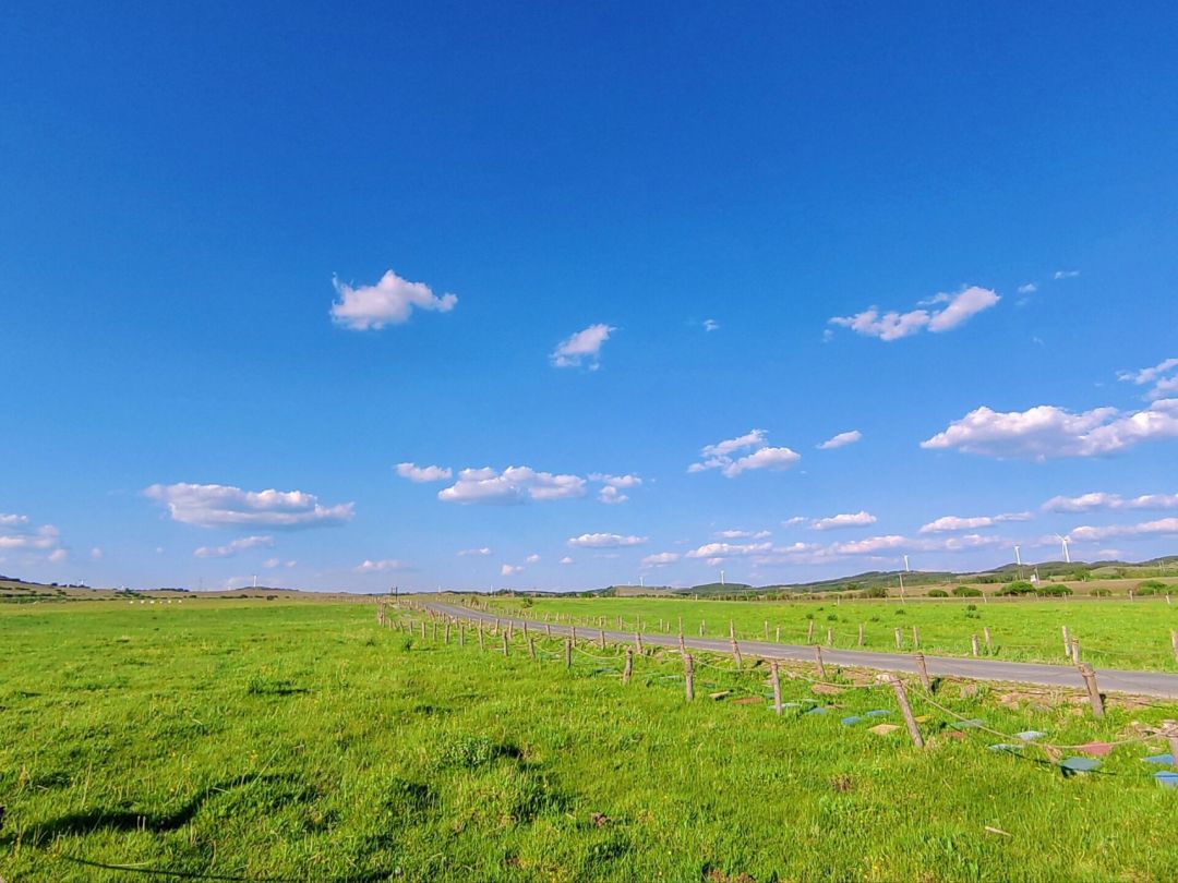 1768445694248_2ncGHHc