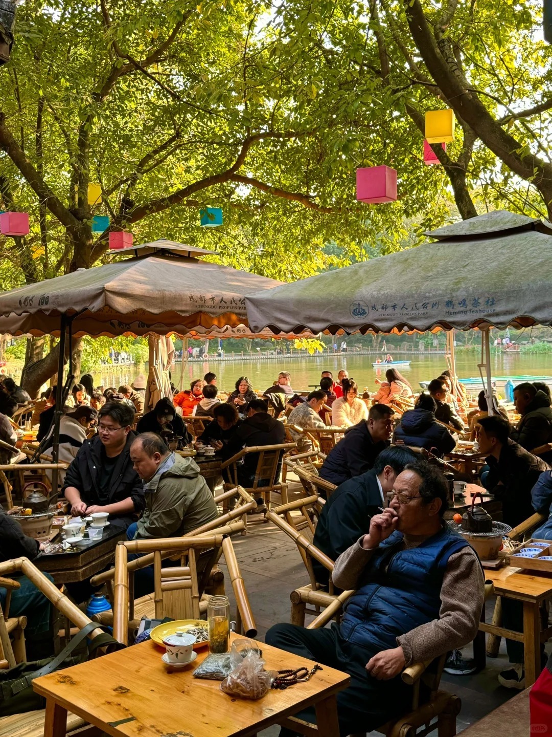 1768980311656_50PerDnm