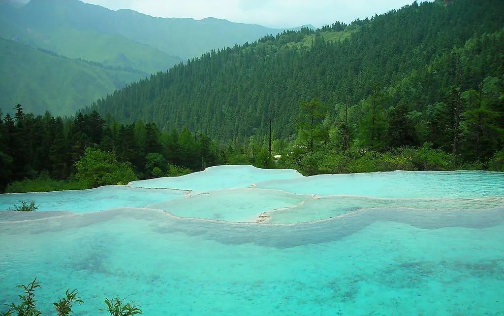 1768980311666_19reykG4