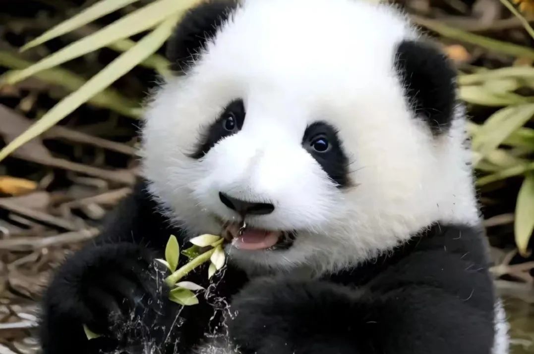 1768980311666_22cfpHky