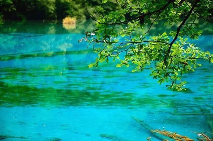 1768980311667_11X5YXA4