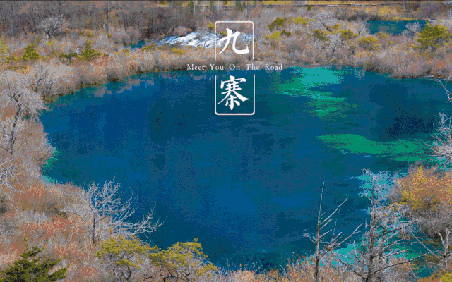 1768980311669_0WHMzAJ