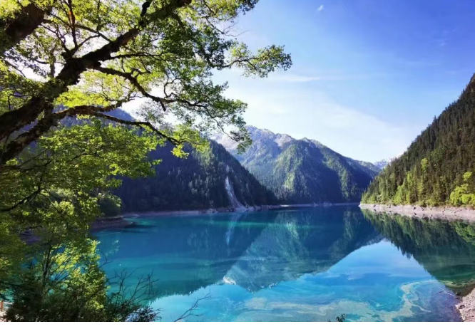 1768980311669_2JQrTKX