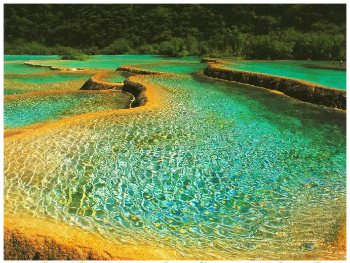 1768980311669_4piSaRR