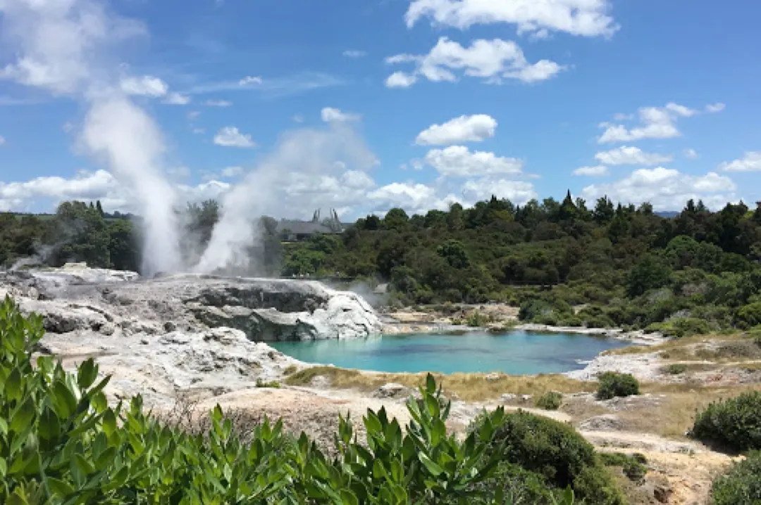 179742902415825aa348159c4abb48dd-sz_277843