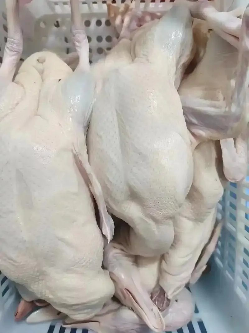 17bef0bbfb25ee7660f7c5fb290cc5cd-sz_1118096-1