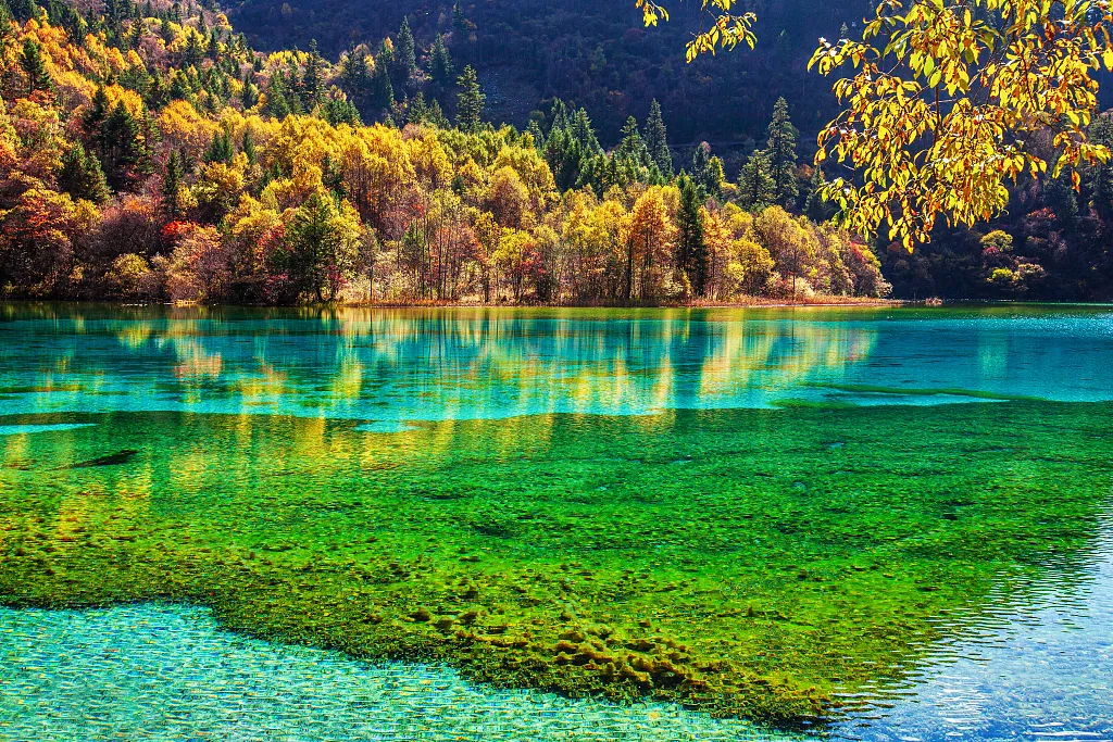 17ff44491b12280bb15be2820201990d-sz_1575291 17ff44491b12280bb15be2820201990d-sz_1575291