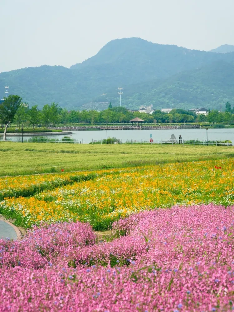 181d831cdecacbb601cd61f0ba16dab8-sz_3213094