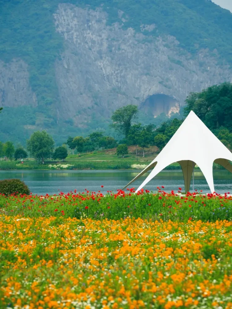 187d6a1ac25f7c56cd25e2a3b981e64d-sz_3476316