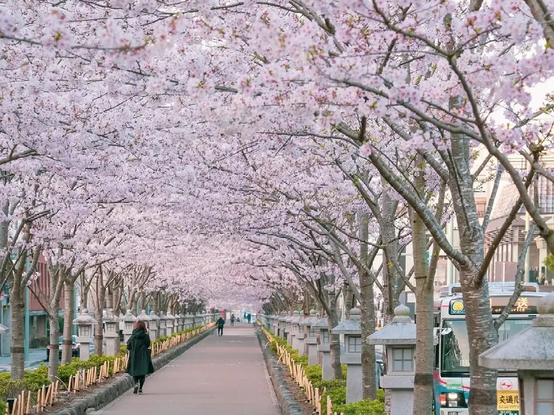 18827ec1983ff46f7193ca2363db04fe-sz_595238-1