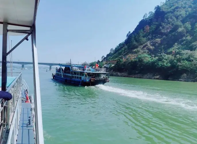 18d42a07298666c52a59ba7e428083da-sz_51313