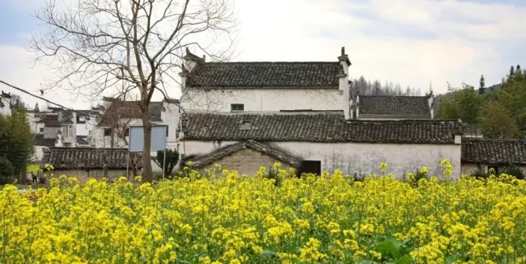 18d574fe84f87052dc77b41800d7d396-sz_149806