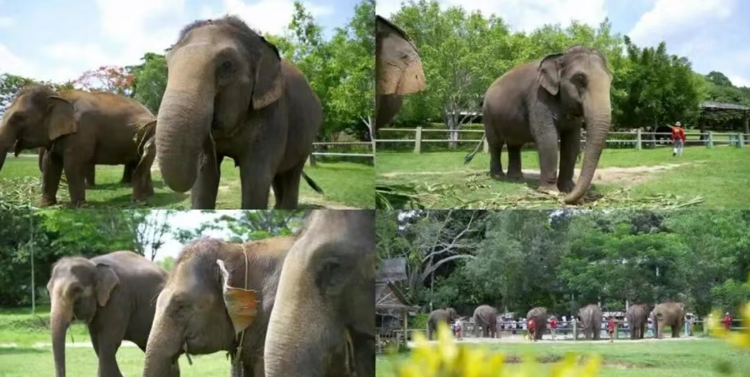 18efa35a3ea459688f90aa3854bdf287