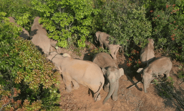 1905526977ee6ae2b356af446ac166b0-sz_828390