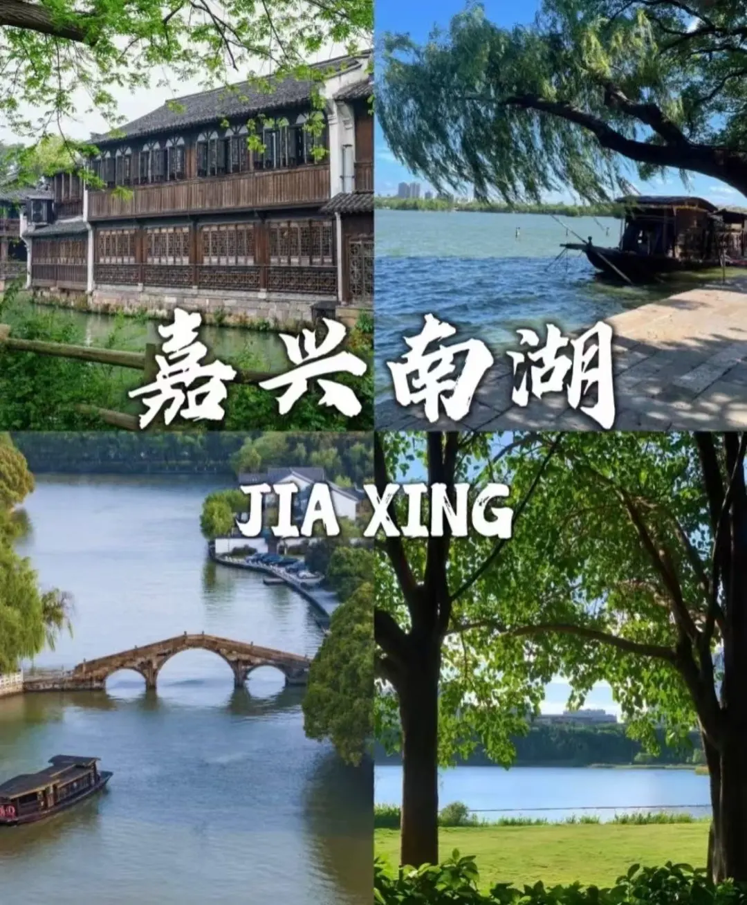 191d767d6bf4c8bd986ce97a7f780948-sz_268026