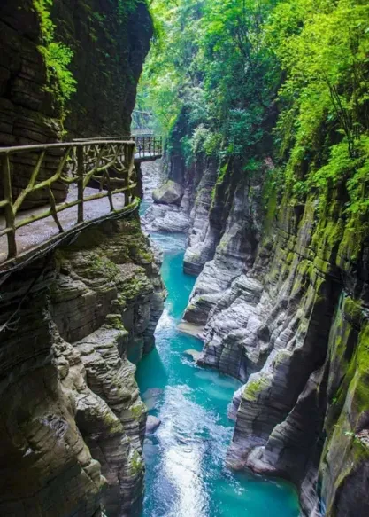 193cb490992caf419cb3d4756bfd6e41-sz_675688