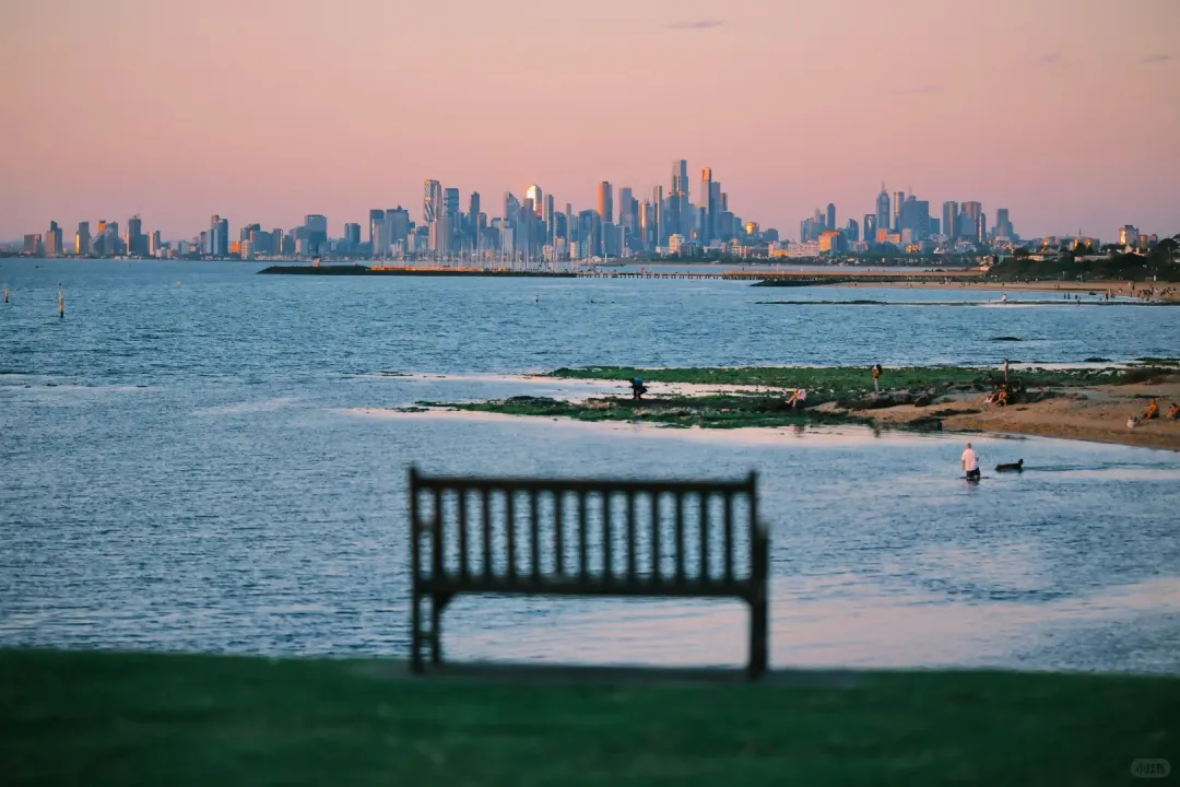 194331b050465f845ea07a86b01f121d-sz_369466