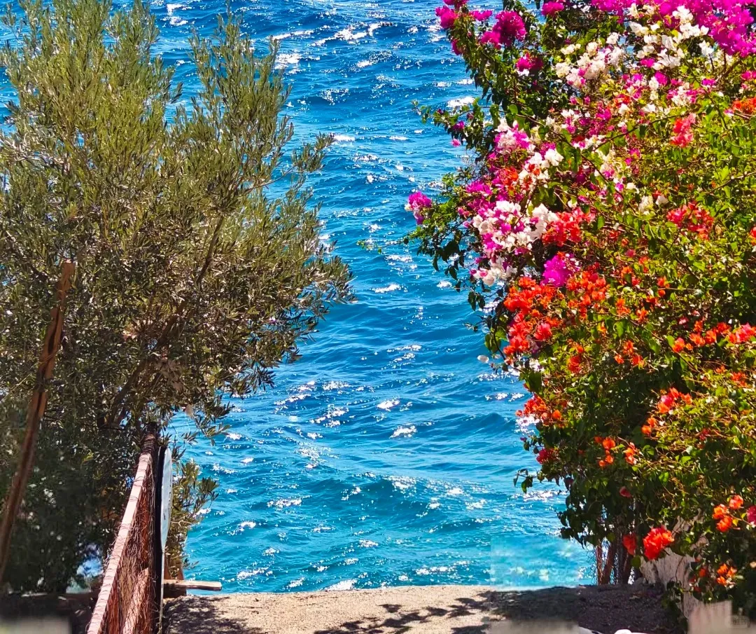 19b2fbb2f2a9966f4653cd92662d8800-sz_925076-1