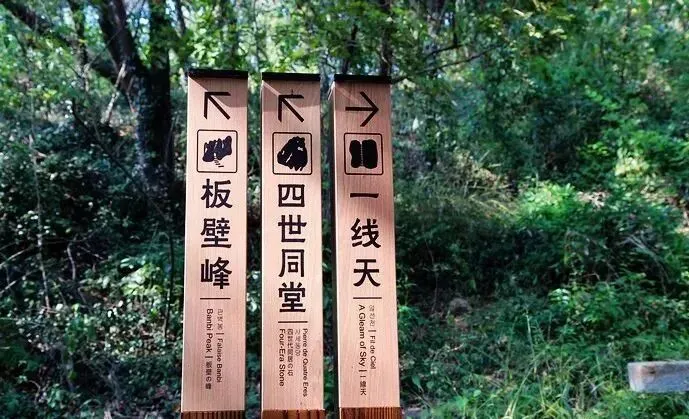 19c02516d2b97cdd9ed07505b948bef5-sz_87197